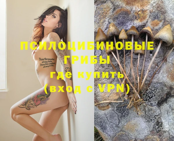 ГАЛЛЮЦИНОГЕННЫЕ ГРИБЫ Алексин