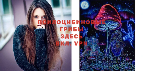 ГАЛЛЮЦИНОГЕННЫЕ ГРИБЫ Алексин