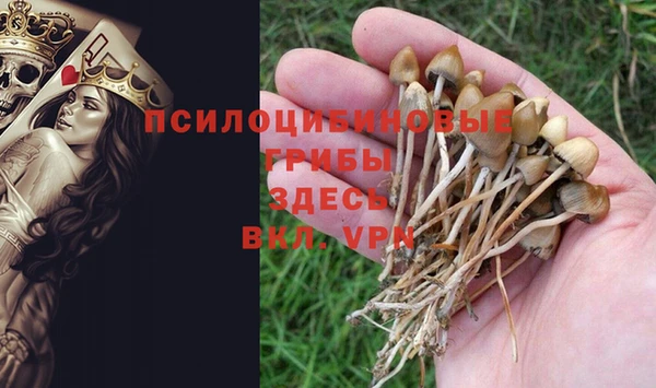 ГАЛЛЮЦИНОГЕННЫЕ ГРИБЫ Алексин