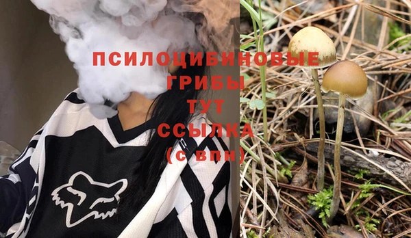 ГАЛЛЮЦИНОГЕННЫЕ ГРИБЫ Алексин